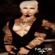 Falcon Niseru